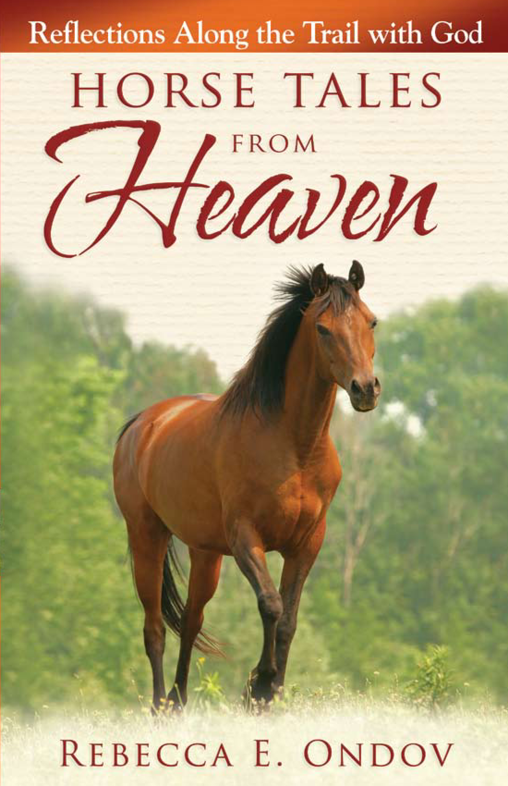 Horse Tales from Heaven